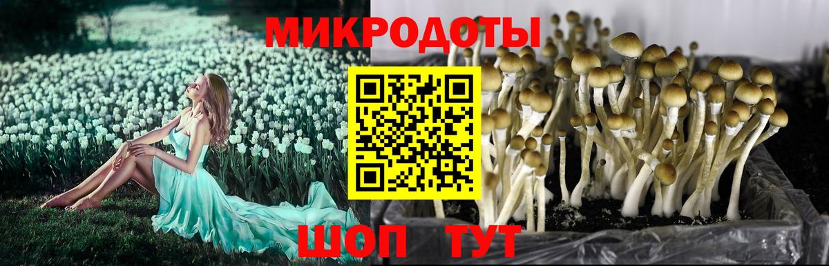 Новодвинск  Псилоцибиновые грибы MAGIC MUSHROOMS  Вход с VPN 